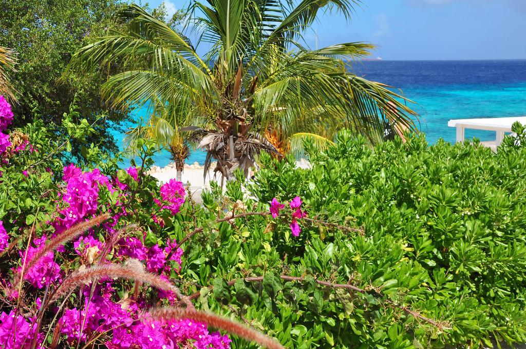 Hilltop Sea View , Boca Gentil Willemstad Exterior photo